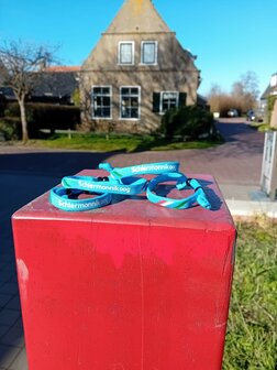 Armbandje Schiermonniikoog