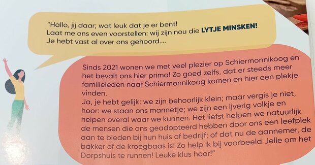 lytje minsken